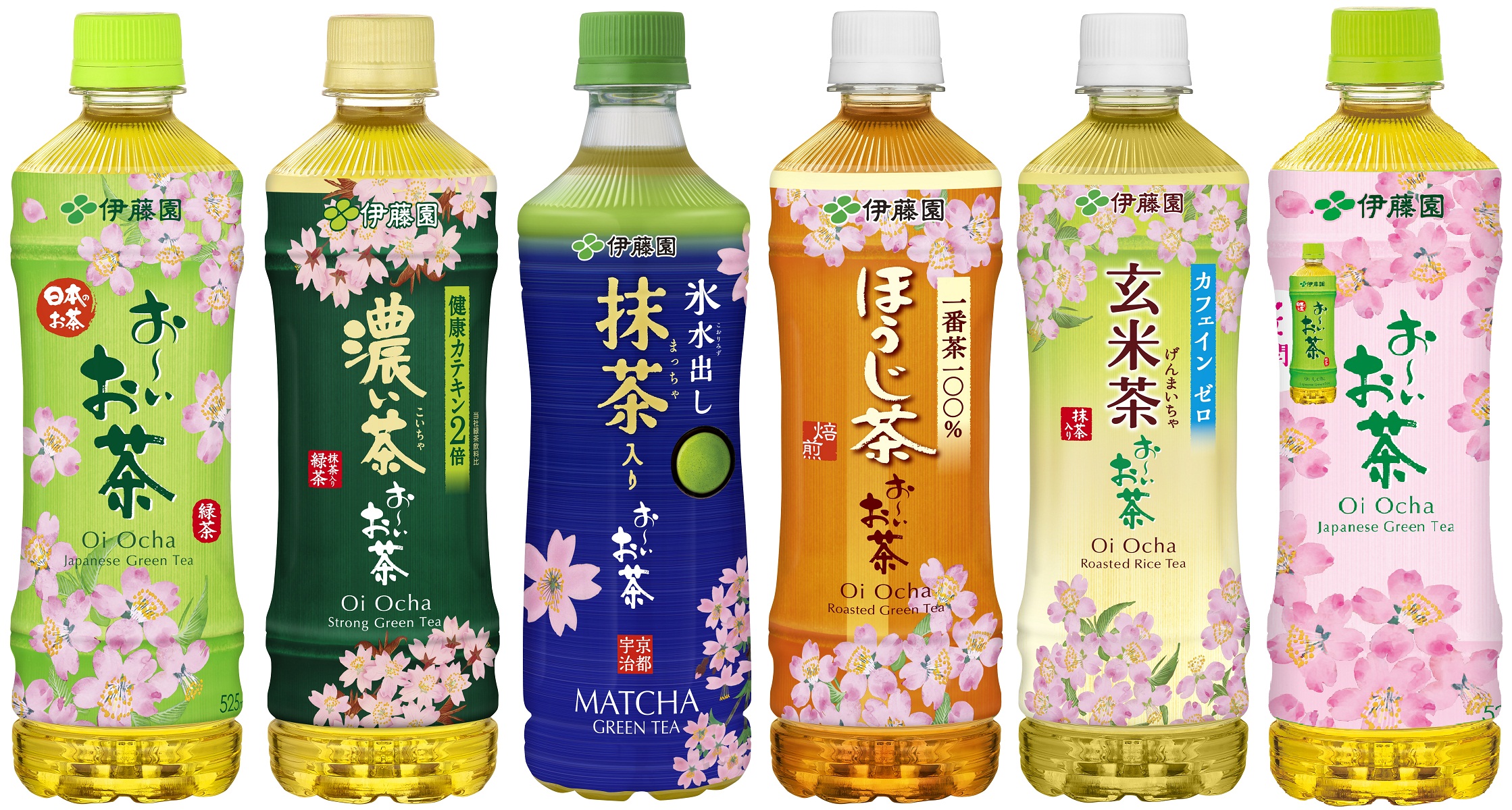「お~いお茶」紅葉パッケージ