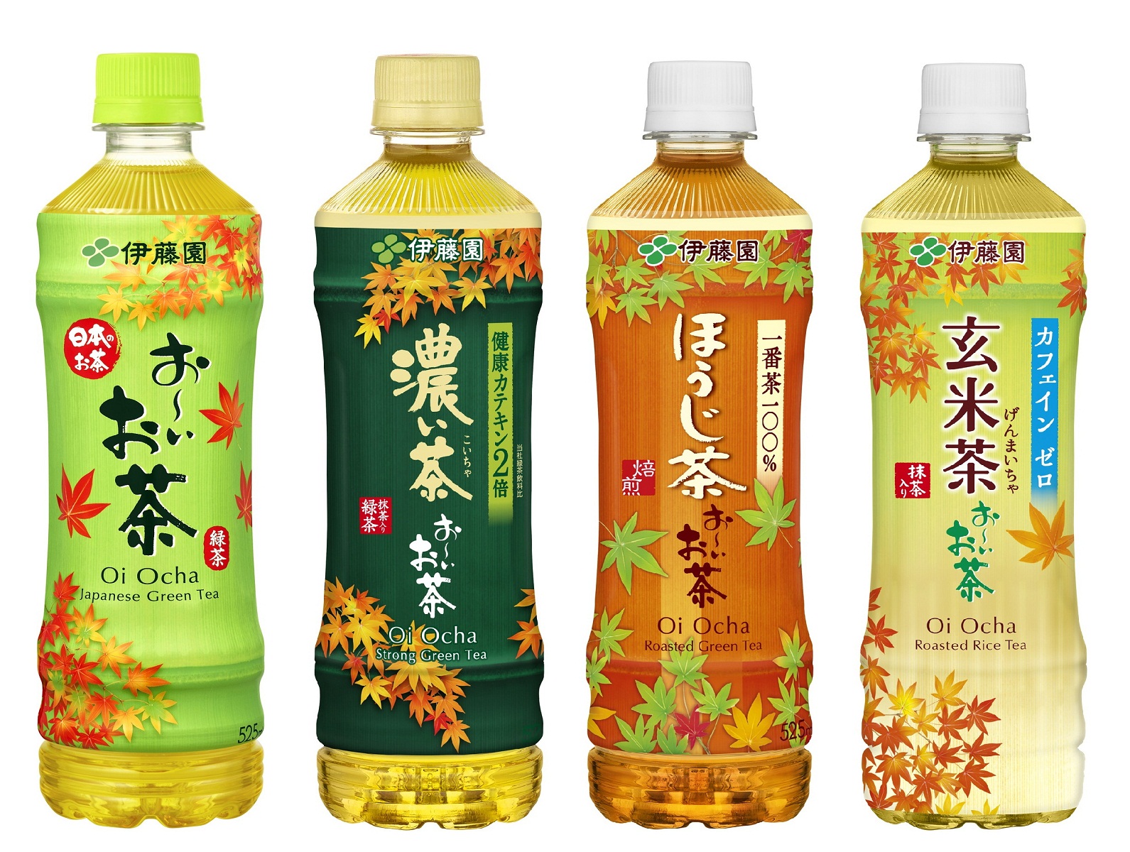「お～いお茶」紅葉パッケージ