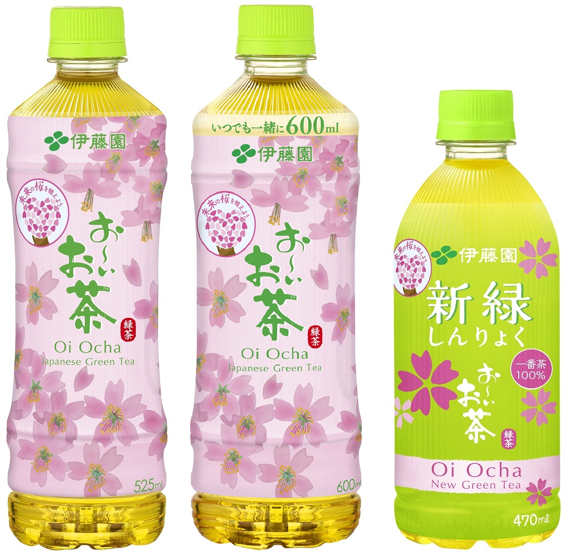 「お～いお茶」桜パッケージ