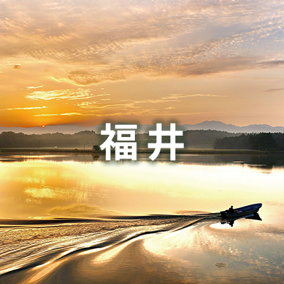 福井